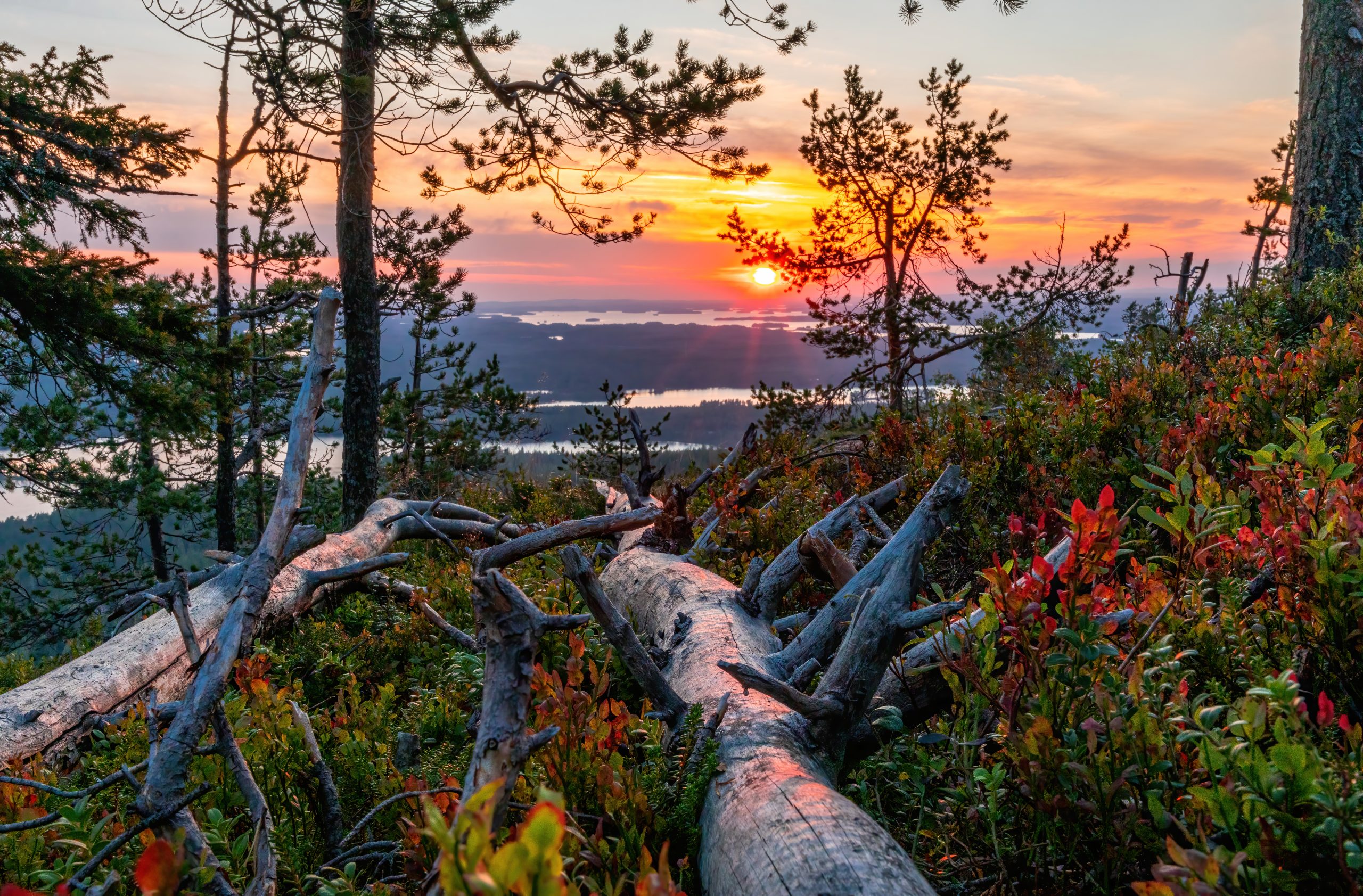 kuinka-pitk-rukan-pipol-tk-turnaus-kest-proloma-ruka-kuusamo